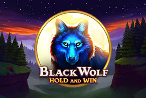 Black Wolf