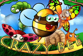 Crazy Bee