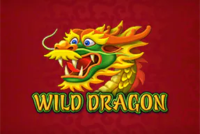 Wild Dragon